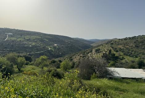 صورة لأحد الأراضي الزراعية  في  الضفة الغربية 