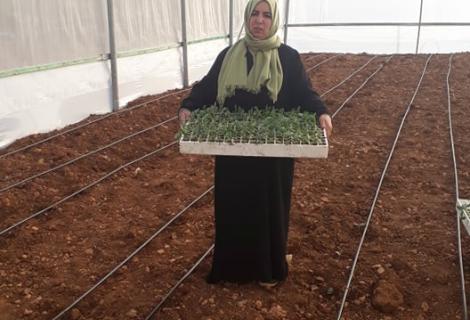 A woman in H2 standing in her agricultural greenhouse funded by project of “ Valiance “Basala”-Empowering women in H2” funded by Australian Government - Department of Foreign Affairs and Trade(DFAT)