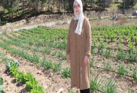 صورة خديجة وهي تعمل في مزرعتها في المنطقة الجنوبية في محافظة الخليل جنوب الضفة الغربية