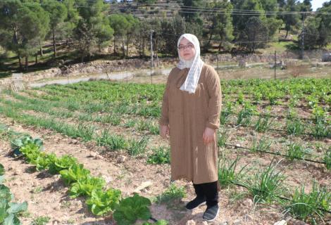 photo of Khdija while she is working in her farm in the southern area in Hebron Governorate in the south of West Bank)