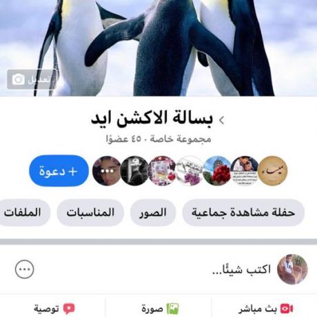 Women from old City of Hebron participating in electronic awareness workshops through social media due to the state of emergency and lockdown after outbreak of coronavirus in Occupied Palestinian Territory within “Valiance “Basala”-Empowering women in H2”