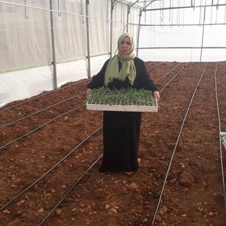 A woman in H2 standing in her agricultural greenhouse funded by project of “ Valiance “Basala”-Empowering women in H2” funded by Australian Government - Department of Foreign Affairs and Trade(DFAT)