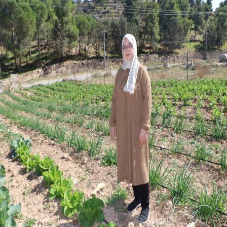 صورة خديجة وهي تعمل في مزرعتها في المنطقة الجنوبية في محافظة الخليل جنوب الضفة الغربية 