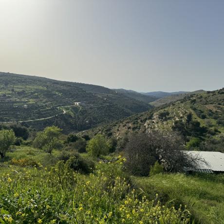 صورة لأحد الأراضي الزراعية  في  الضفة الغربية 