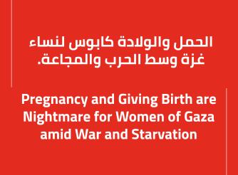 الحمل والولادة كابوس لنساء غزة وسط الحرب والمجاعة.